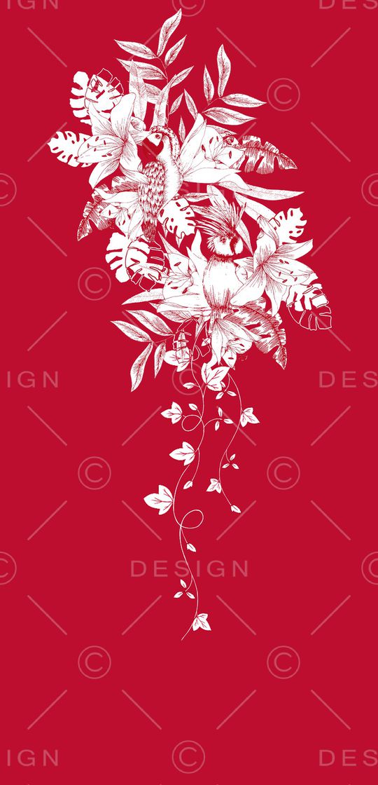 ALEXANDER McQueen印花华亿平台图片