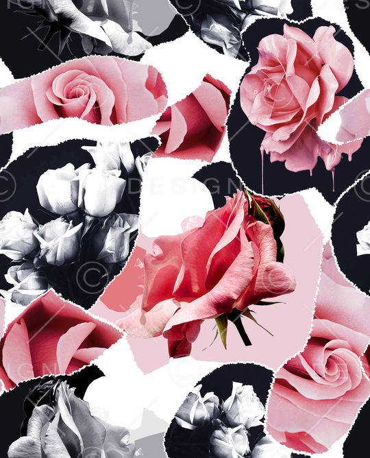 ALEXANDER McQueen印花华亿平台图片