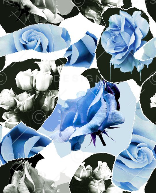 ALEXANDER McQueen印花华亿平台图片