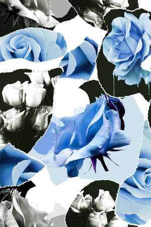 ALEXANDER McQueen印花华亿平台图片