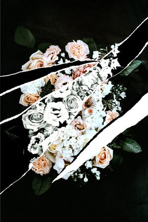 ALEXANDER McQueen印花华亿平台图片