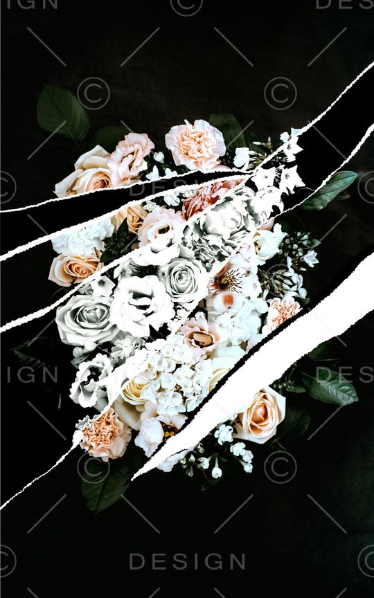 ALEXANDER McQueen印花华亿平台图片