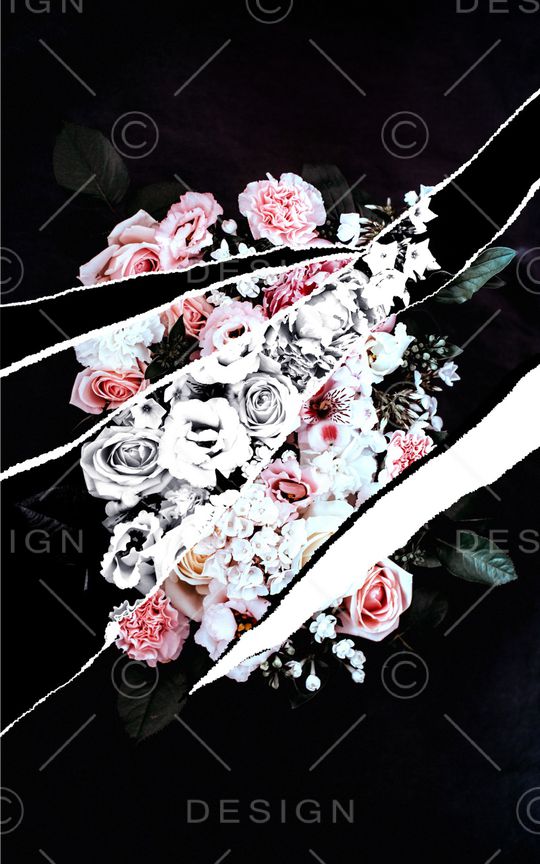 ALEXANDER McQueen印花华亿平台图片