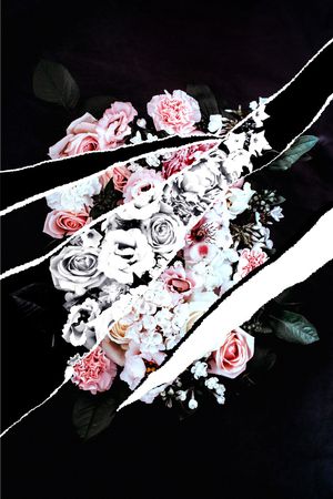 ALEXANDER McQueen印花华亿平台图片