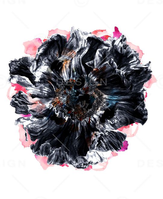 ALEXANDER McQueen印花华亿平台图片