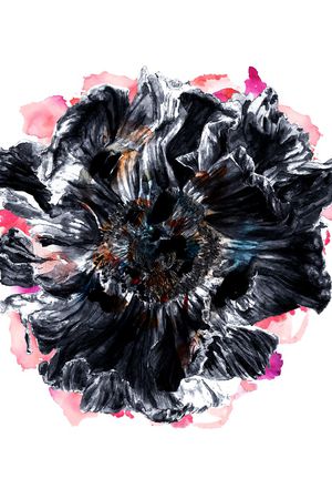 ALEXANDER McQueen印花华亿平台图片