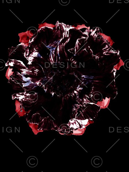 ALEXANDER McQueen印花华亿平台图片