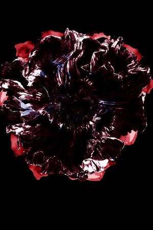 ALEXANDER McQueen印花华亿平台图片