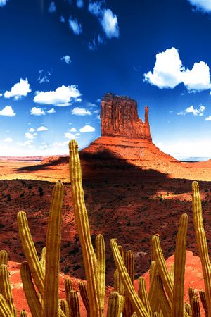 仙人掌印花华亿平台图片