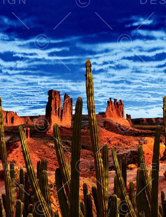 仙人掌印花华亿平台图片