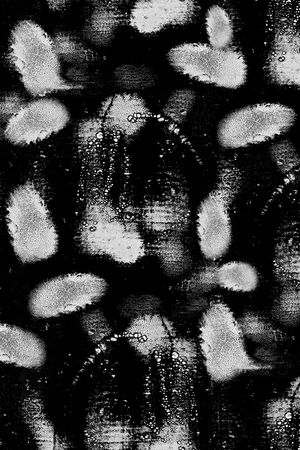 大牌风印花华亿平台图片