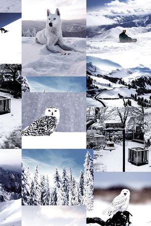 雪山印花华亿平台图片