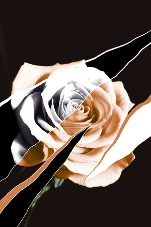 ALEXANDER McQueen印花华亿平台图片