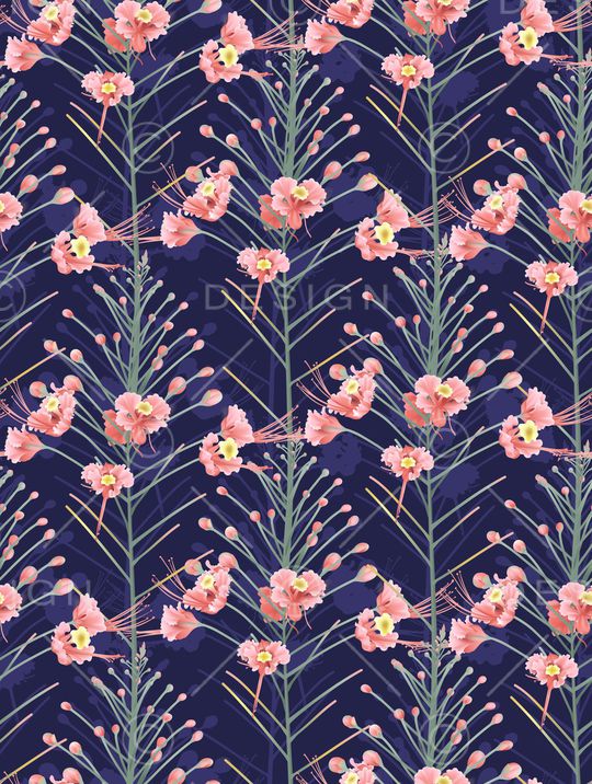 女装印花华亿平台图片