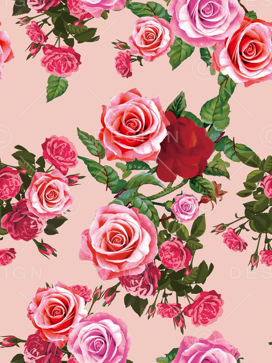 玫瑰花印花华亿平台图片