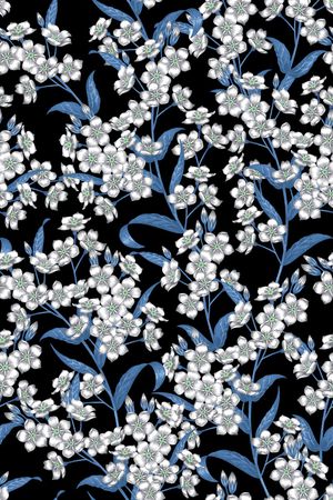 女装印花华亿平台图片