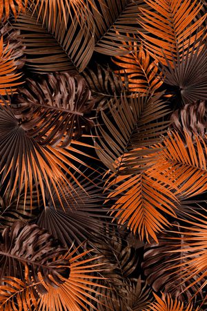 椰子树印花华亿平台图片