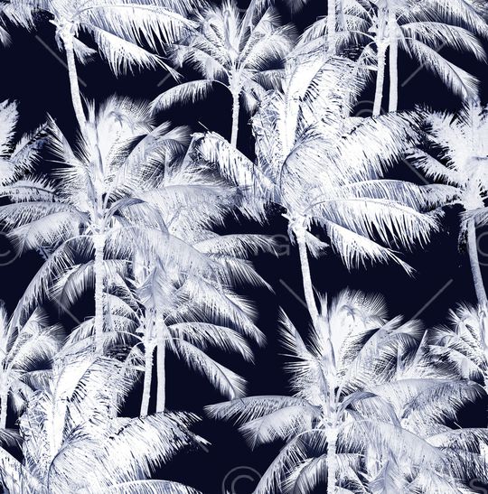 椰子树印花华亿平台图片