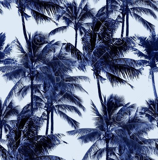 椰子树印花华亿平台图片