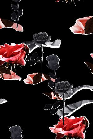 ALEXANDER McQueen印花华亿平台图片