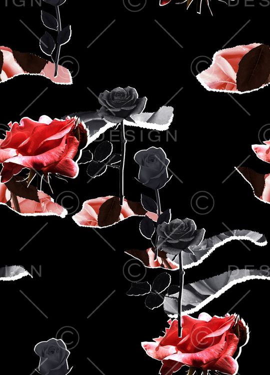 ALEXANDER McQueen印花华亿平台图片