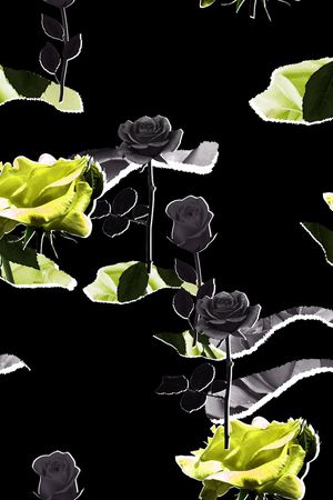 ALEXANDER McQueen印花华亿平台图片