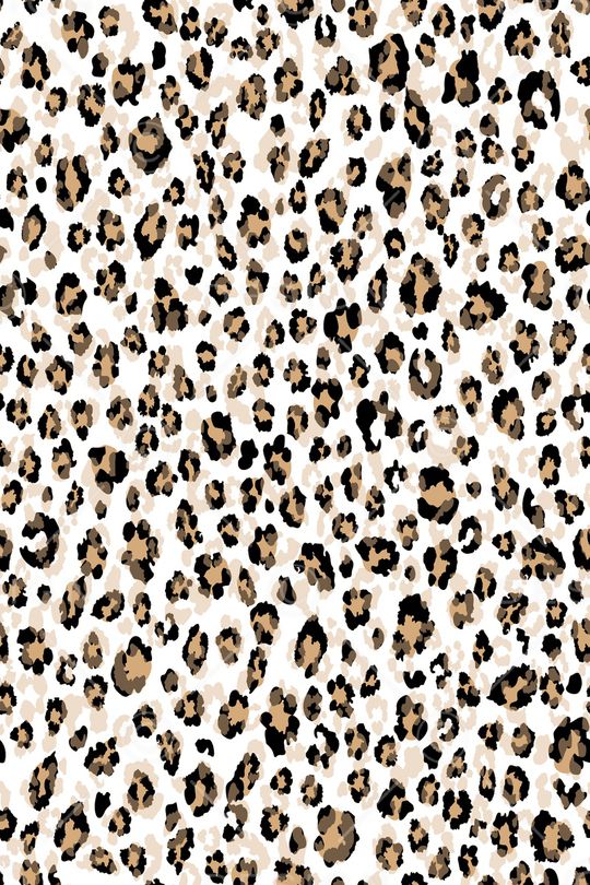 豹纹印花华亿平台图片