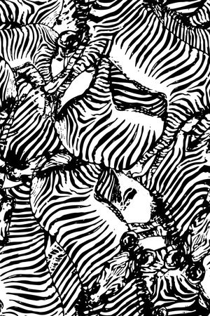 斑马纹印花华亿平台图片