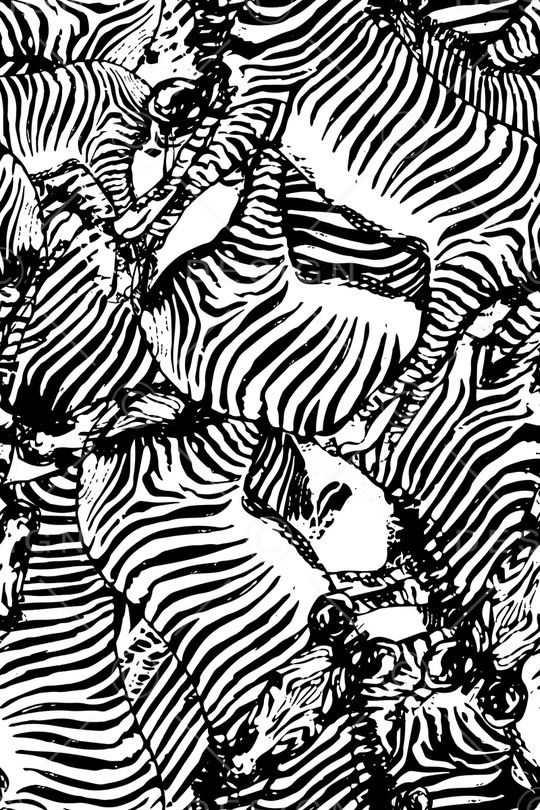 斑马纹印花华亿平台图片