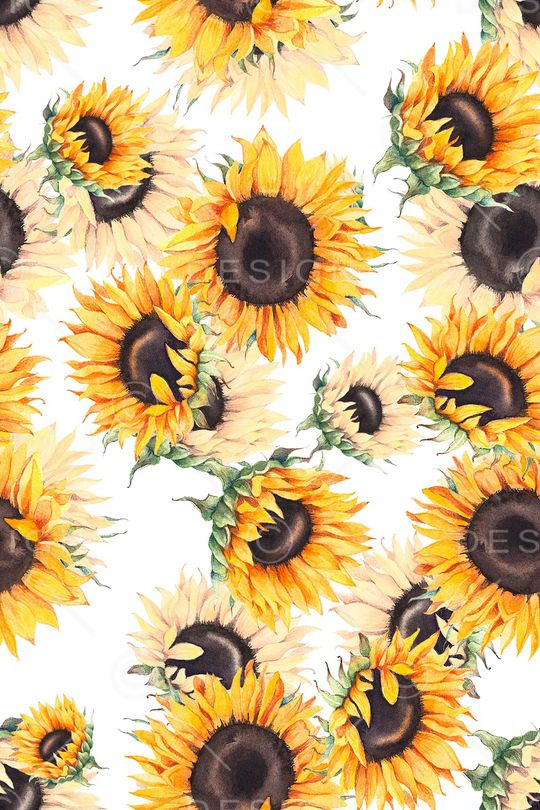 清爽底花卉印花华亿平台图片