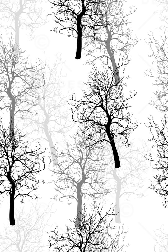 树枝印花华亿平台图片