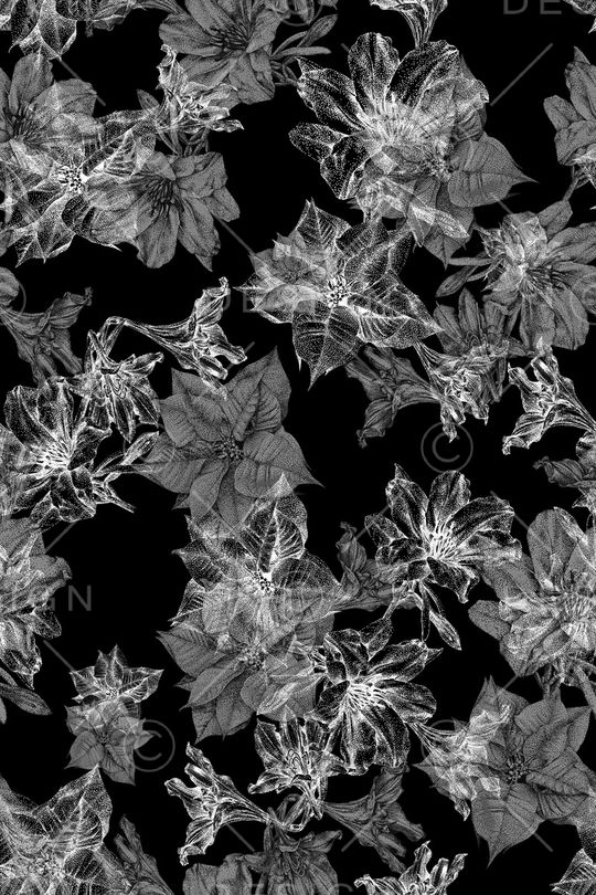 黑底花卉印花华亿平台图片