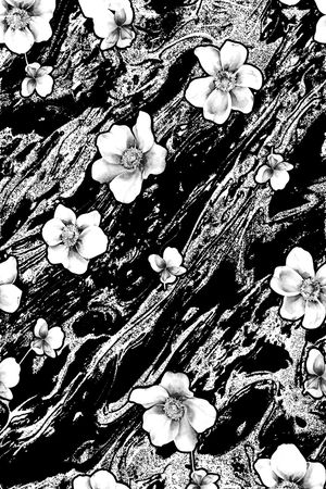 黑白华亿平台印花华亿平台图片