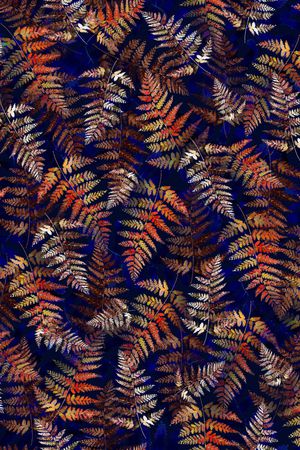 绿植树叶印花华亿平台图片