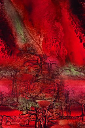 女装定位花印花华亿平台图片