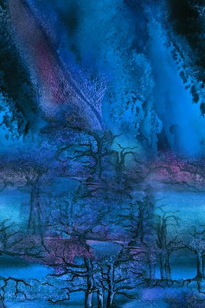 女装定位花印花华亿平台图片