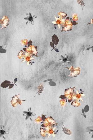 女装印花华亿平台图片