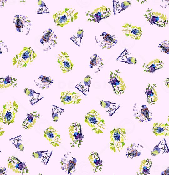 鹦鹉印花华亿平台图片