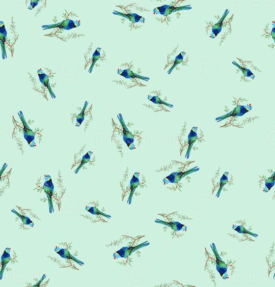 鹦鹉印花华亿平台图片