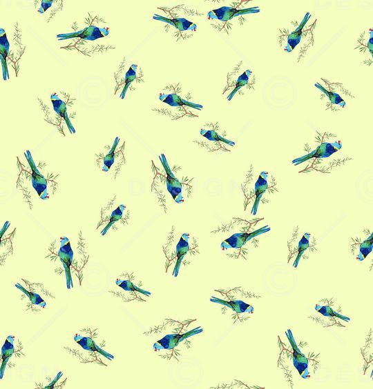 鹦鹉印花华亿平台图片