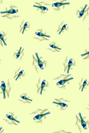 鹦鹉印花华亿平台图片