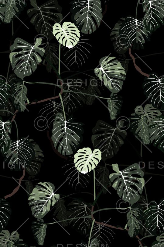 黑底花卉印花华亿平台图片