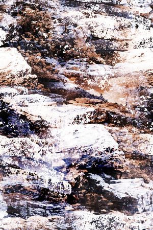 女装印花华亿平台图片