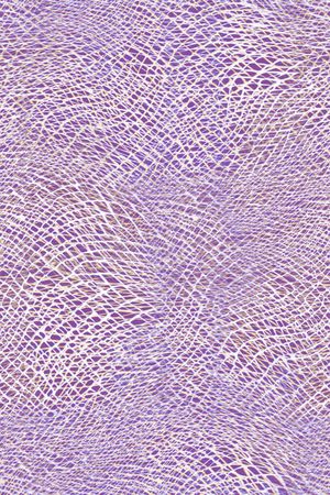 线条印花华亿平台图片