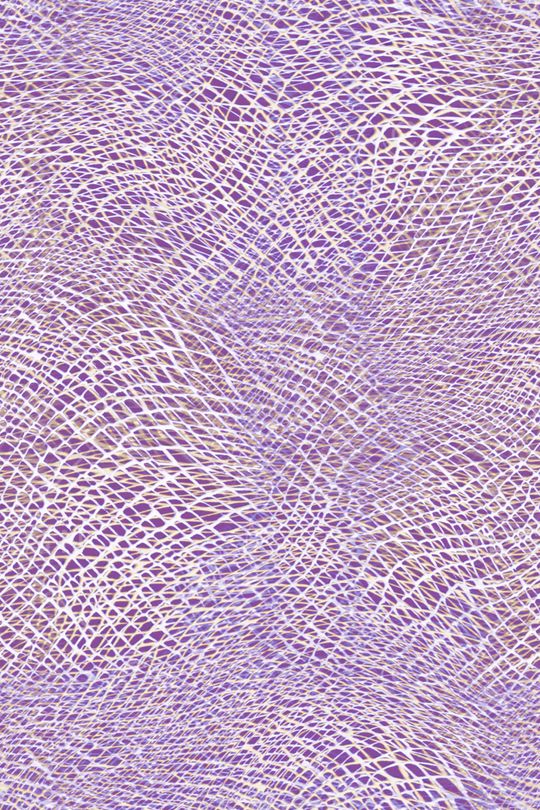 线条印花华亿平台图片