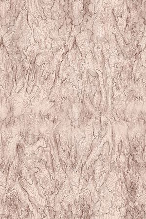 线条印花华亿平台图片