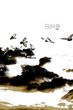 字母印花华亿平台图片