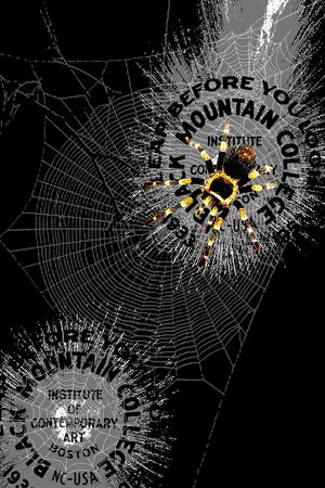 字母印花华亿平台图片