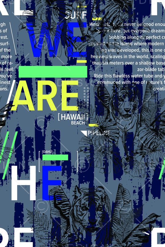 字母印花华亿平台图片