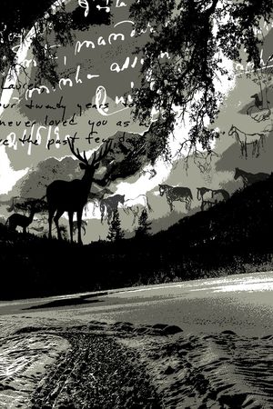 字母印花华亿平台图片